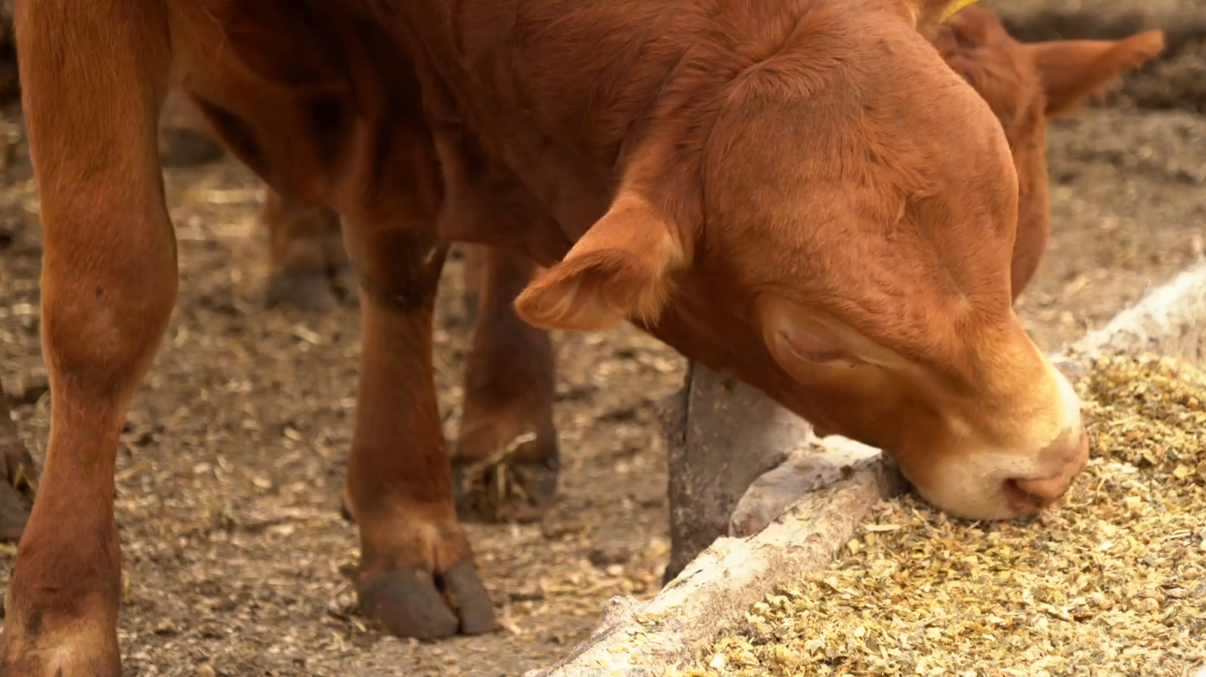 Farm and Ranch Video Thumbnail